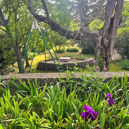 Villa Avec Piscine Et Grand Jardin